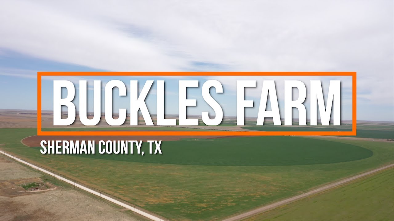 Buckles Farm Sherman County, TX YouTube