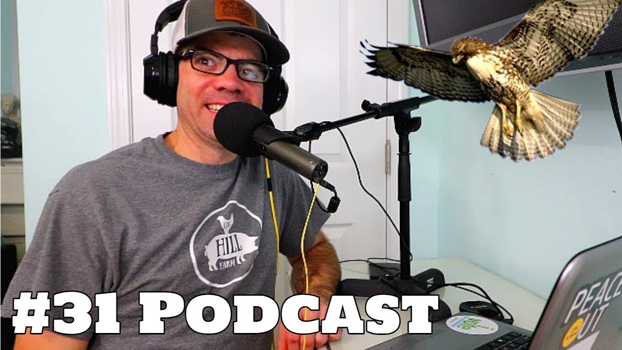#31 Cogcast Podcast - How Do We Protect Our Livestock From Hawks? Big