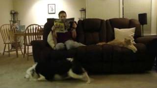 Sneaky Little Dog!