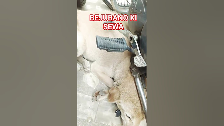 इनको भी भुख लगती है🐕🐶 #dog #dogshorts #dogfeeding #doglover #streetdog #shorts #shortsfeed #ytshorts