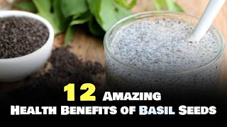 12 Amazing Health Benefits of Basil Seeds