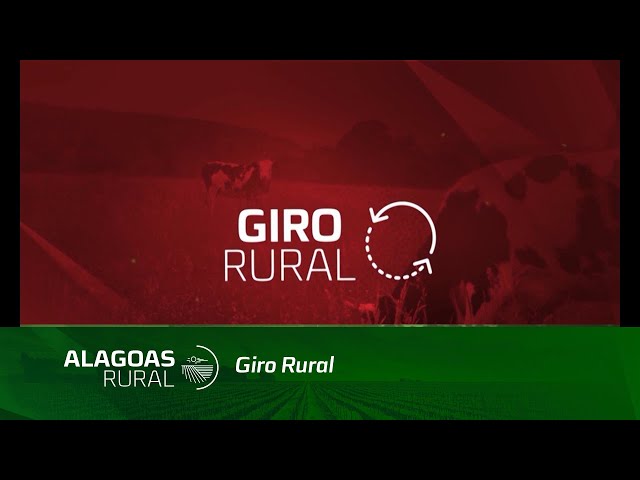 Giro Rural: Dia Mundial do Leite