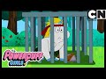 В мире мужчин четыре: Игра Донни | Суперкрошки | Cartoon Network