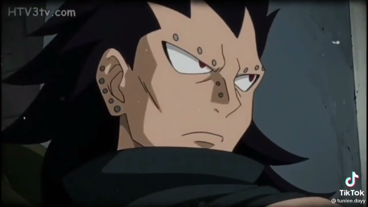 Tik Tok Fairy Tail #4