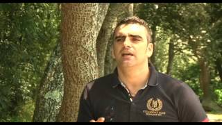 ¿Qué es una caja de Faraday?