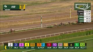 Vidéo de la course PMU PRIX JUNTEN PLATA