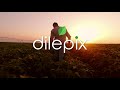 Dilepix new  presentation