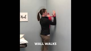Shoulder Strengthening Exercise- Wall Walks!