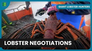 Tough Lobster Negotiations - Giant Lobster Hunters - Documentary