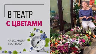 В театр с цветами - для чего дарить цветы актерам? Эмоции - то, что наполняет нашу жизнь.