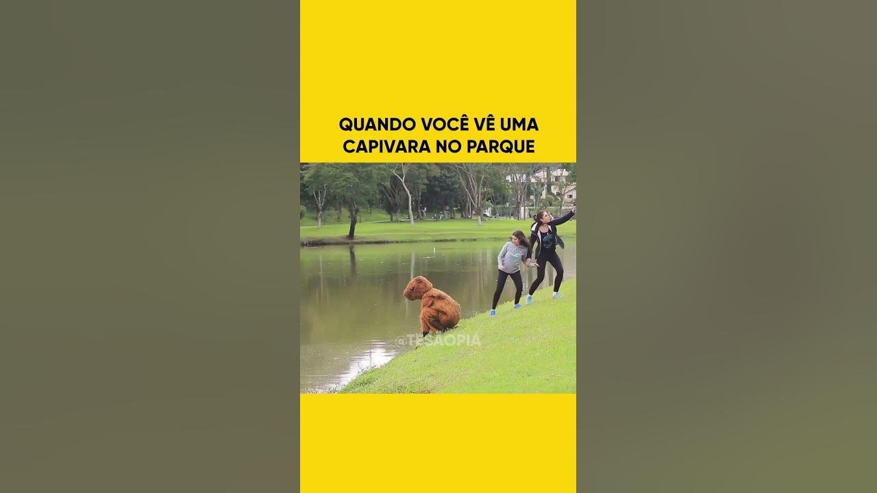 Você é uma capivara?