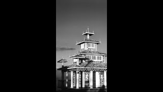 Black And White Editing In Snapseed Mobile | Walk- Through | #Shorts