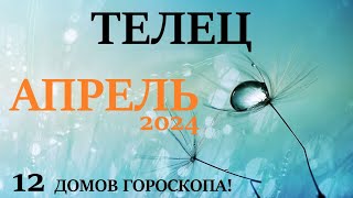 Телец ♉  Апрель 2024 🚀 Прогноз На Месяц Таро Расклад 👍Все Знаки Зодиака! 12 Домов Гороскопа!