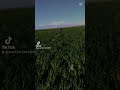 سهم القدر وصلني صوبتني يقلبي