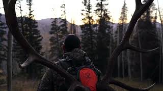 Famous Velvet Antler Product Overview Net Worth