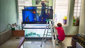 ตือ K-FAST : งานติดตั้งอ่างไฟเบอร์ 250*90*105 ซม. สะดือ/กรองใน ระบบ O4FS พร้อมอุปกรณ์ Set 3