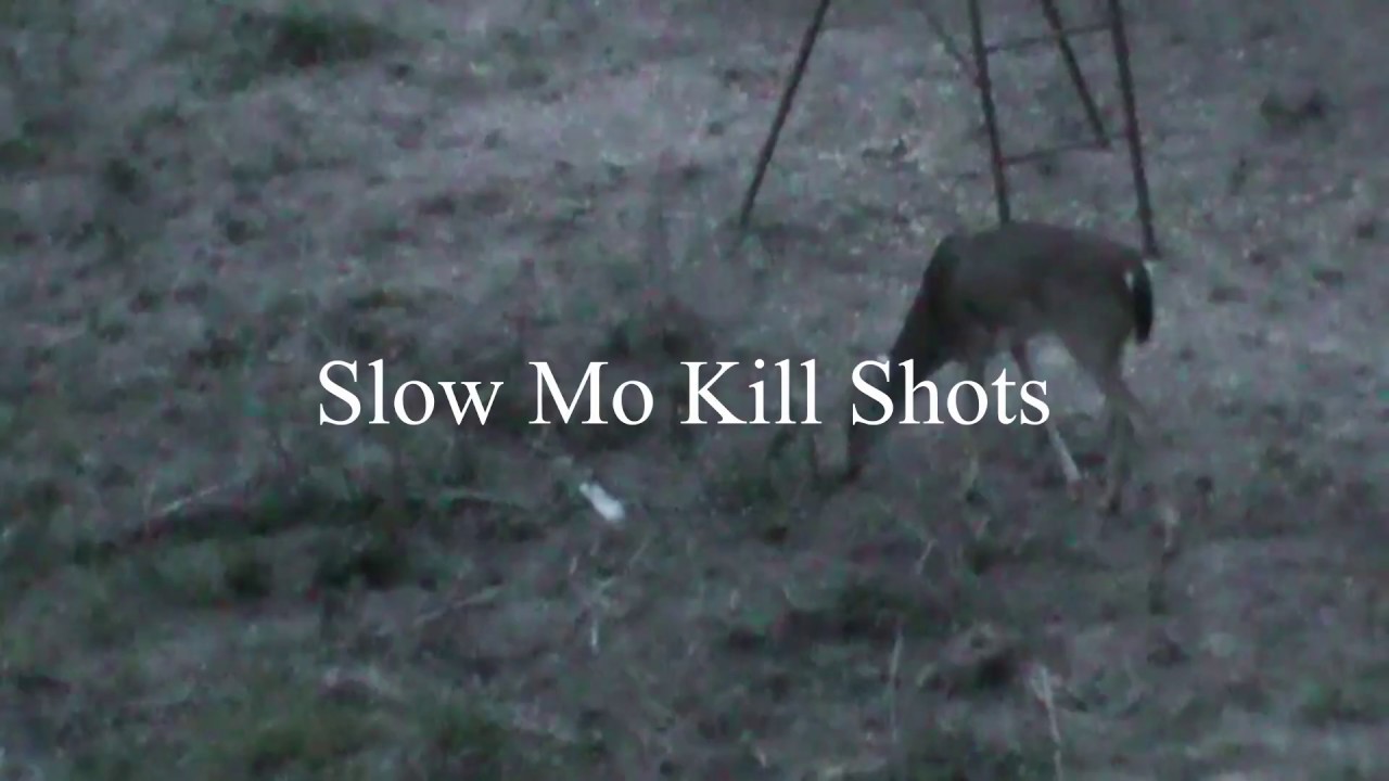 Slow Motion Archery Kill Shots YouTube