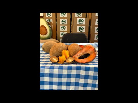 Sleepylizard Is Live!