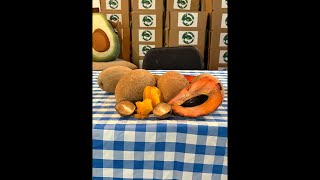 Sleepylizard Is Live!