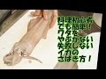【初心者向け】イカの簡単さばき方 失敗しない ワタをやぶかない How to dress a squid