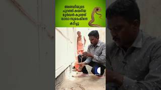 അണലിയുടെ പുറത്ത് കയറിയ മൂർഖൻ കുഞ്ഞ് വാവാ സുരേഷിനെ കടിച്ചു #snakemaster #vavasuresh