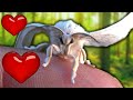 Silkworm Life Cycle: ADORABLE Moths! (Bombyx mori) - Breeding Tutorial in MothCycles