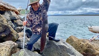 Poke Poling for Monster Monkeyface Eel at Tillamook Bay Jetty