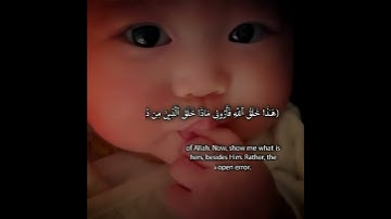 هذا خلق الله 💚 تلاوة رائعة بصوت القارئ علي التركماني