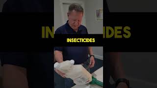 3 Ways to prevent Termites