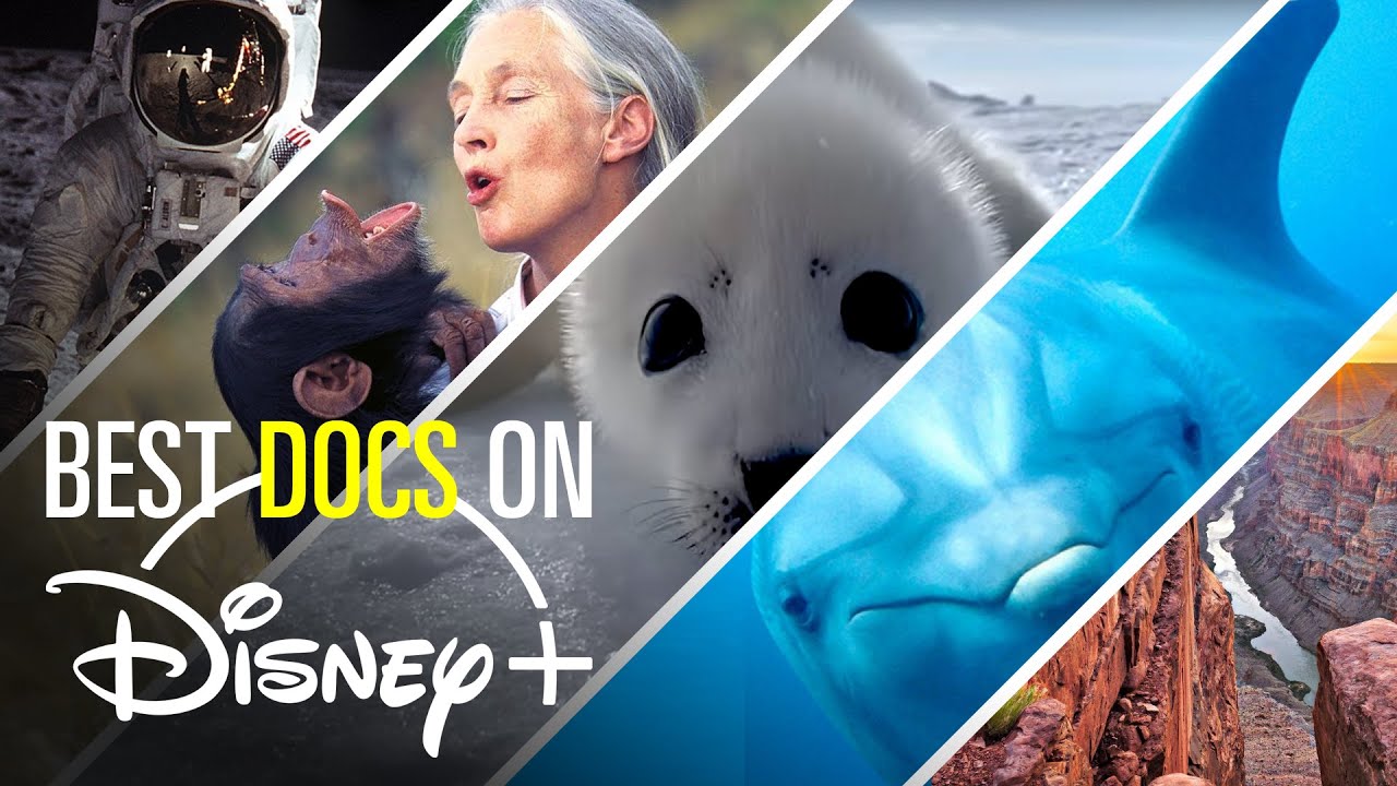 10 MustSee Documentaries on Disney+ Bingeworthy YouTube