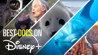 10 Must-See Documentaries on Disney+ | Bingeworthy