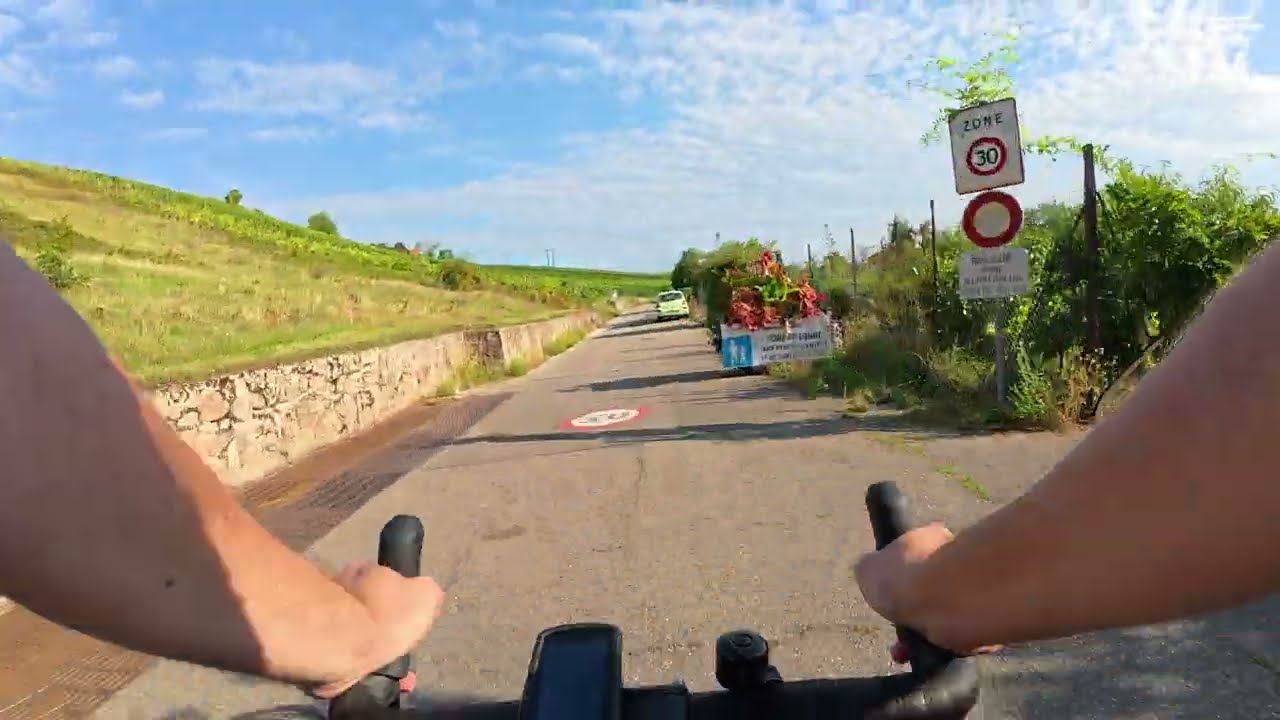Chatenois - Dambach la ville | Vineyards Cycle Route - Cycling Alsace, France