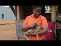 ¡Gracias por ayudarnos a proteger a los animales este 2016!