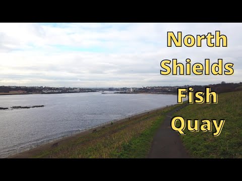 North Shields Fish Quay, walking along the mouth of the Tyne pathway from Tynemouth [4k 60fps]