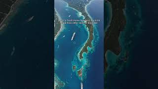 Japan &amp; South Korea Reassess Maritime Trade Risks After Hormuz Blockade #Shorts