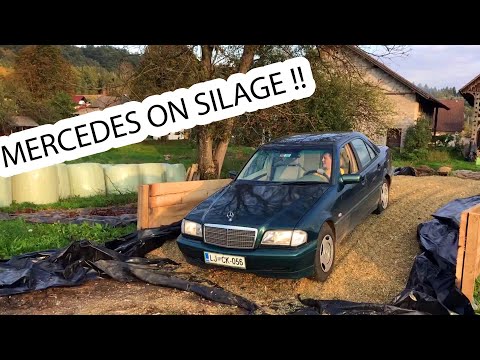 Watch What Happens When You Trust The Wrong Friend! Mercedes goes on Silage pit!