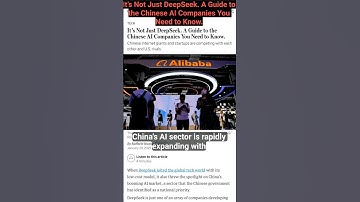 It’s Not Just DeepSeek. A Guide to the Chinese AI Companies You Need to Know.