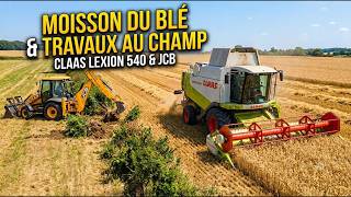 Gros chantier : La moisson du blé est lancée - 2026