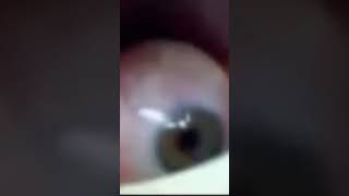 1 Chico 2 Cucharas Vídeo Completo