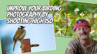 Improve Your Birding Photography With Higher ISO.