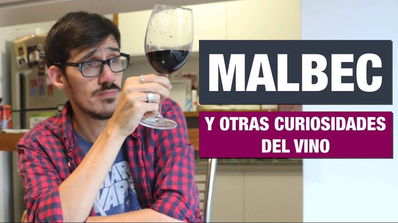 Por qué Argentina es campeona del Malbec y qué tuvo que ver Sarmiento │ 
