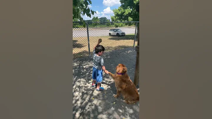 Benny playing fetch with Molly!
