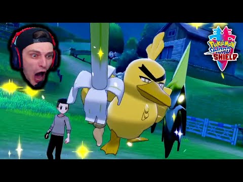 Shiny farfetch'd in Pokémon quest : r/MandJTV