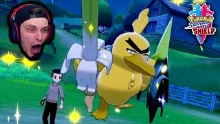 Evy on X: I got shiny Galarian Farfetch'd after 517 eggs and then I  evolved it into Sirfetch'd!💛✨ #PokemonSwordandShield #shinypokemon  #ShinyHunt  / X