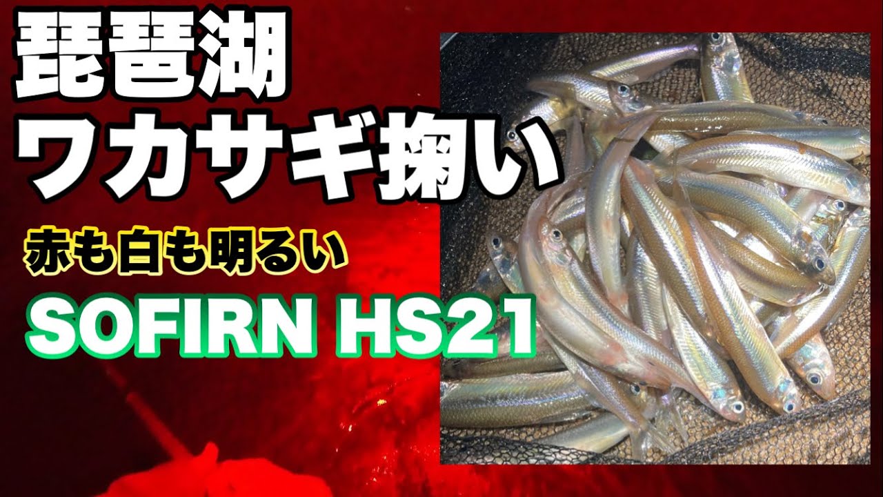 【ワカサギ掬い】商品レビューの赤灯まで明るいヘッドライトは珍しいらしい 