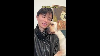 The dog is confused by the tough question. Why does this dog look so human?