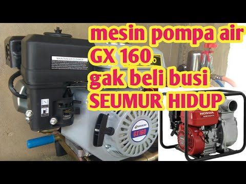 perbedaan busi ngk g-power dan ngk biasa/standar #busi #modifikasi #ngk. 