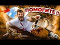 ЗАВАЛИЛО КАМНЯМИ В ЛОГОВЕ ЗМЕЙ... *** МЕНЯ УКУСИЛИ ***