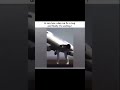 coding memes,Anyone can relate #bug #codinglife #codingbasics #funnyvideo