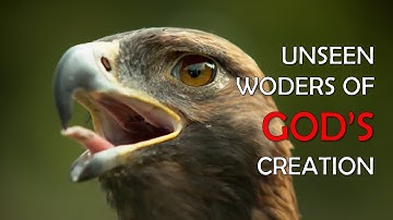 Unseen Wonders of God